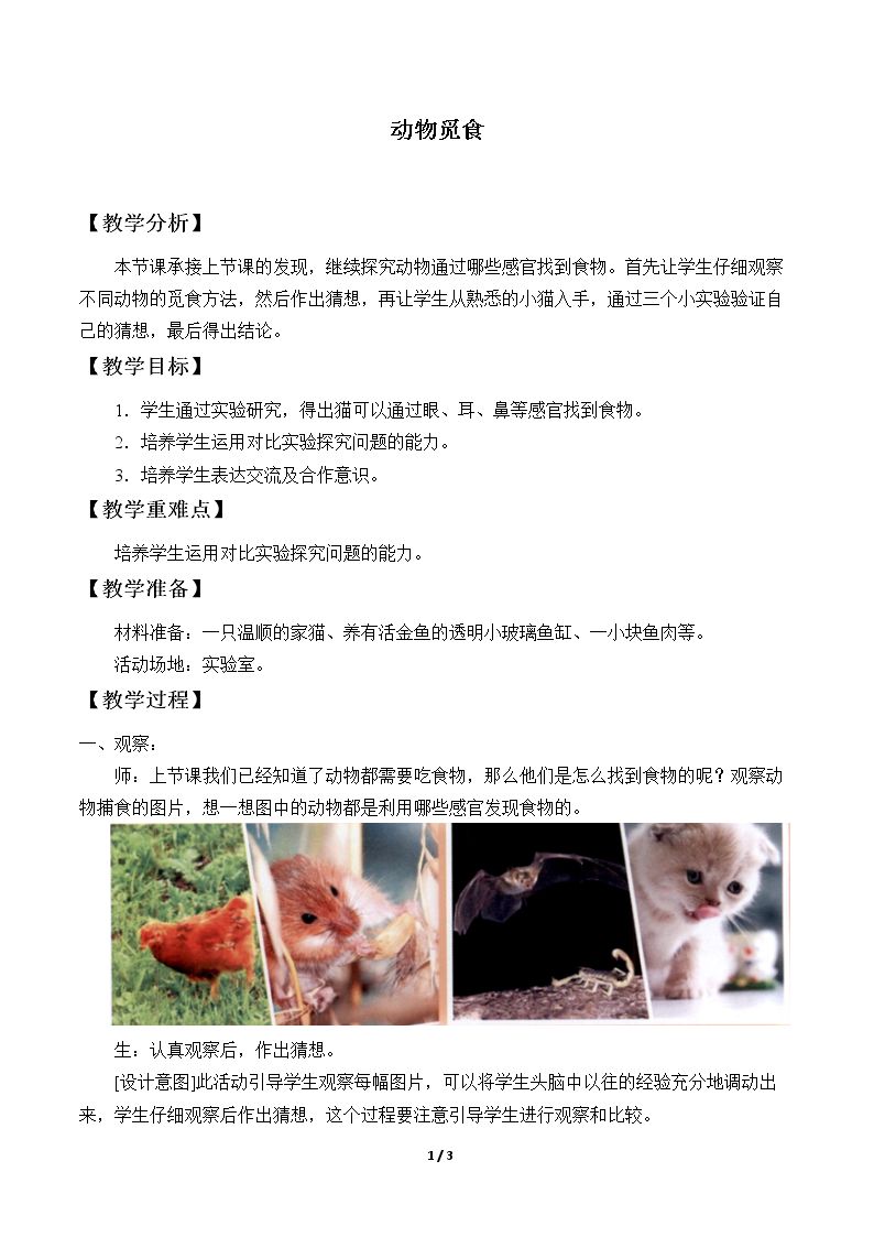 动物觅食