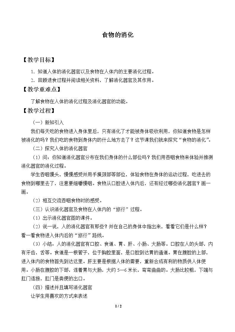 食物的消化