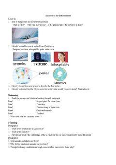 Reading and vocabulary