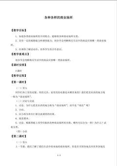 各种各样的商业场所_教案1