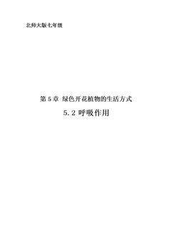 第2节 呼吸作用