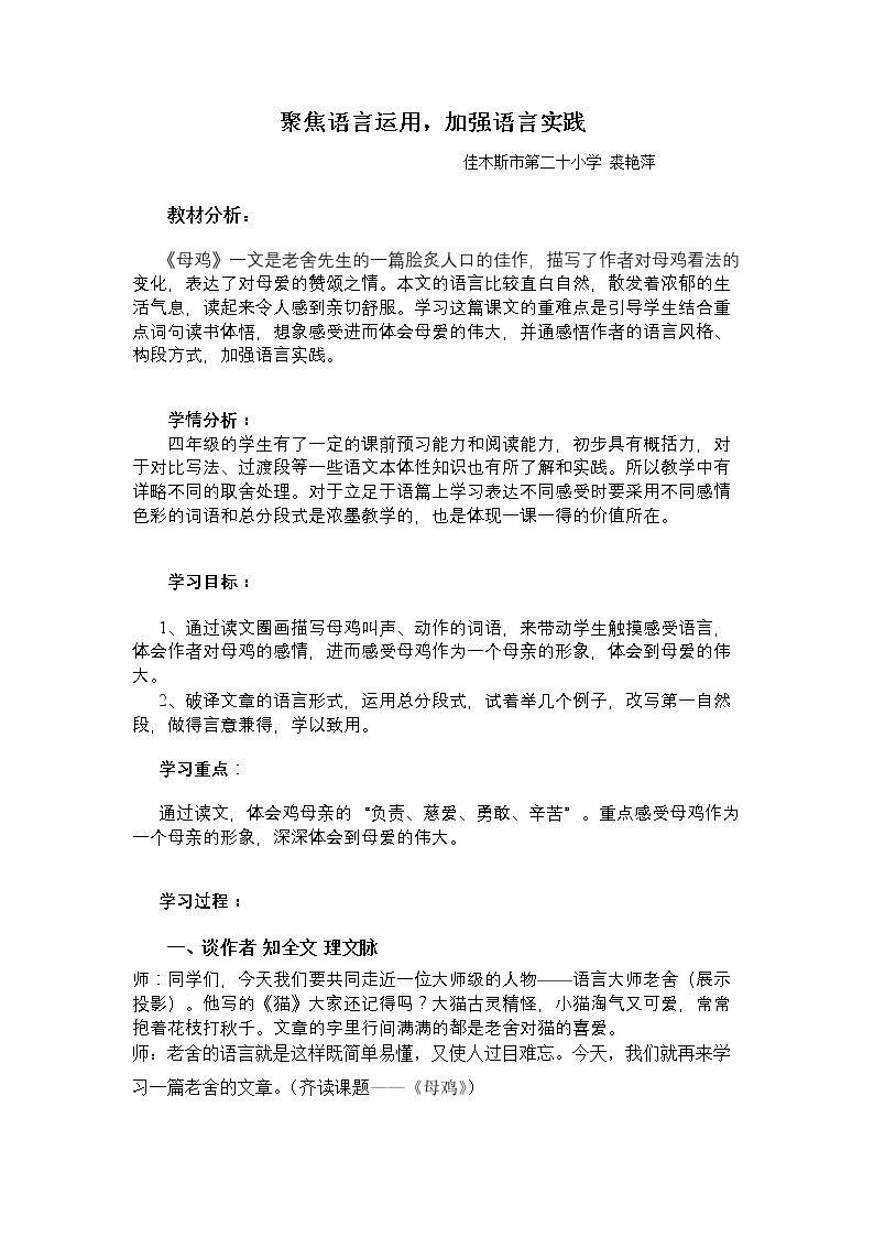 16　母鸡