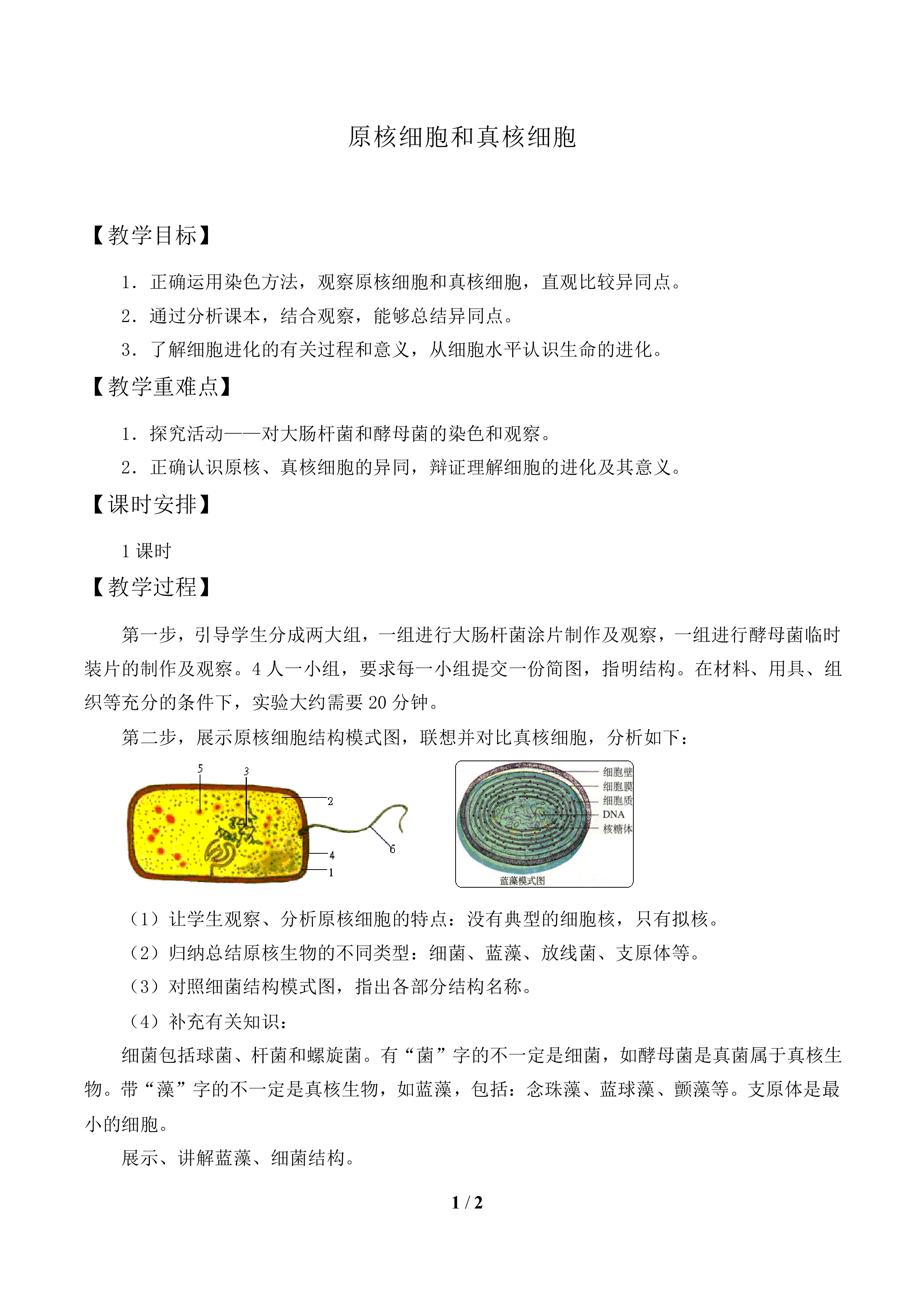 原核细胞和真核细胞_教案1