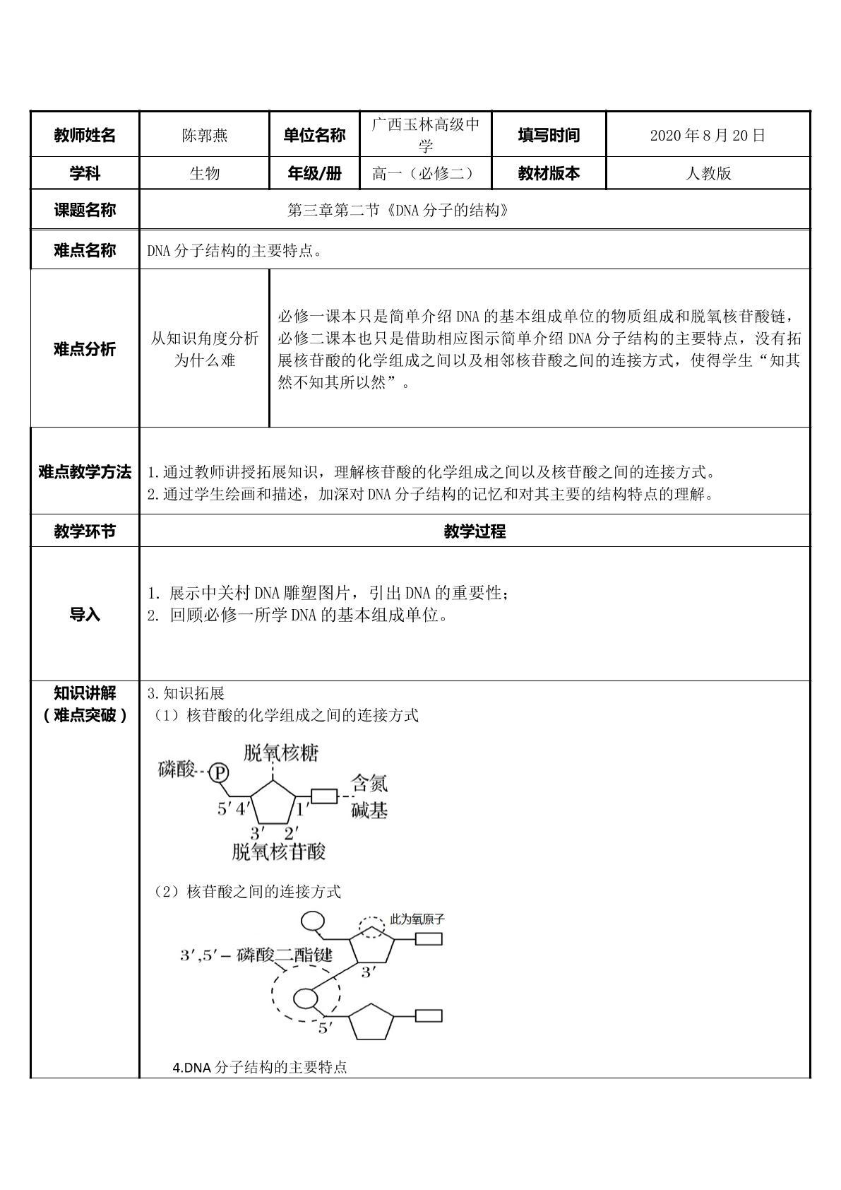 DNA的分子结构