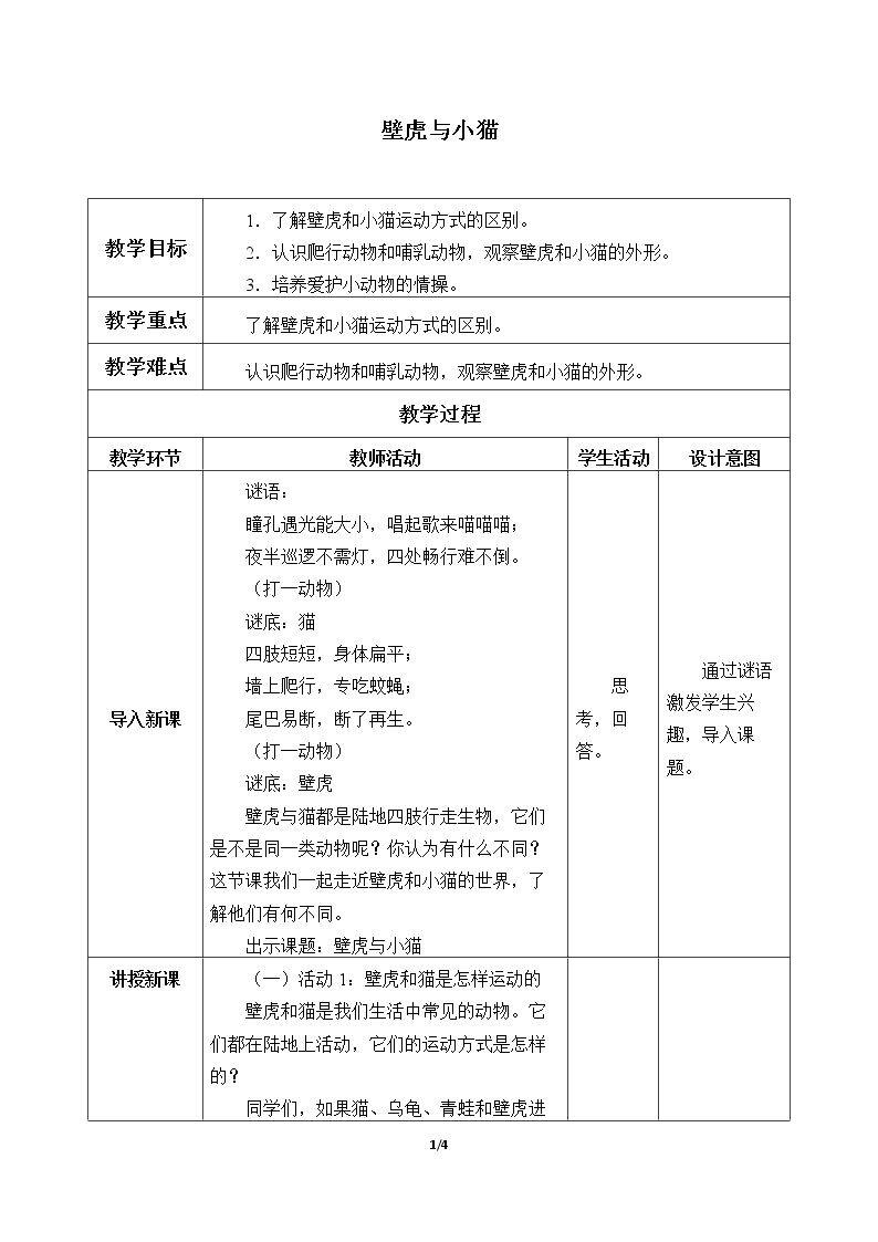 壁虎与小猫
