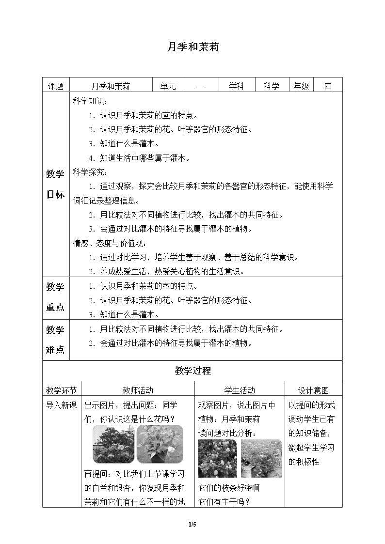 月季和茉莉
