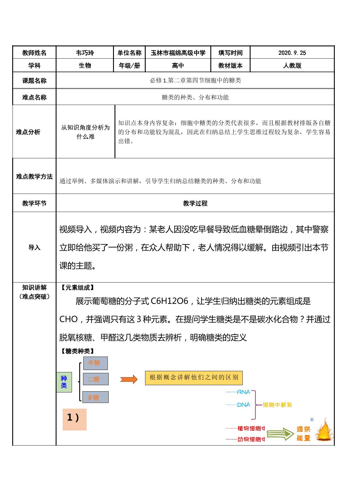 细胞中的糖类