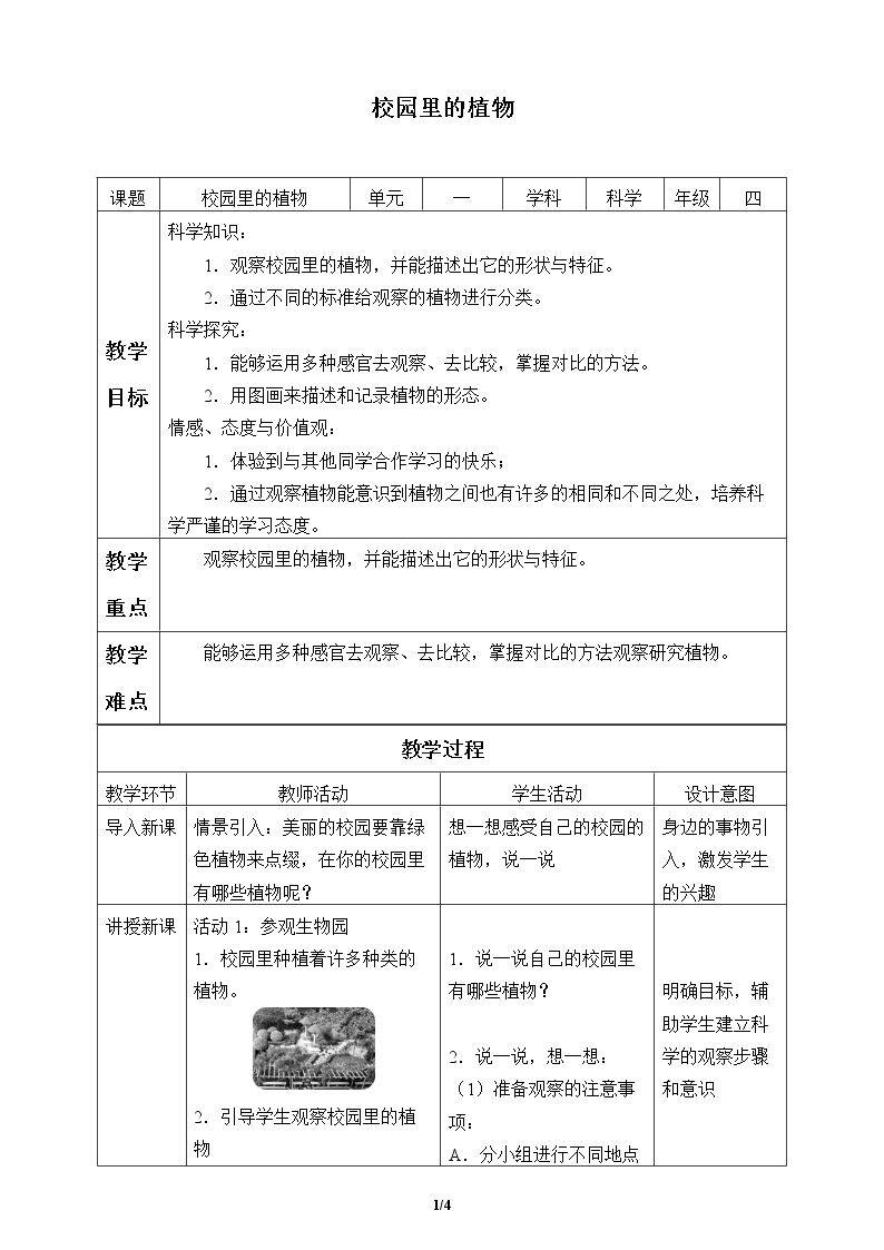 校园里的植物