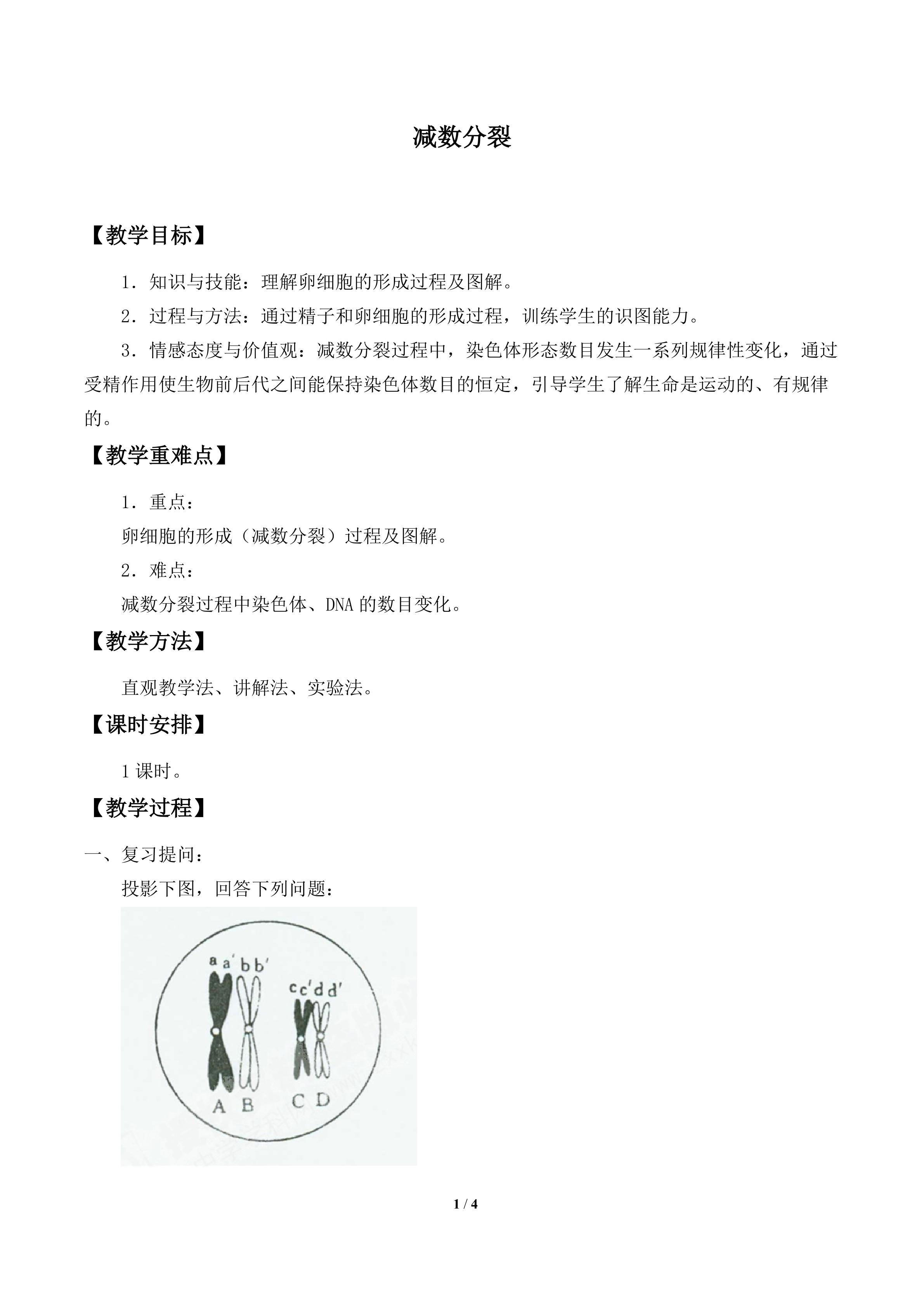 减数分裂_教案2