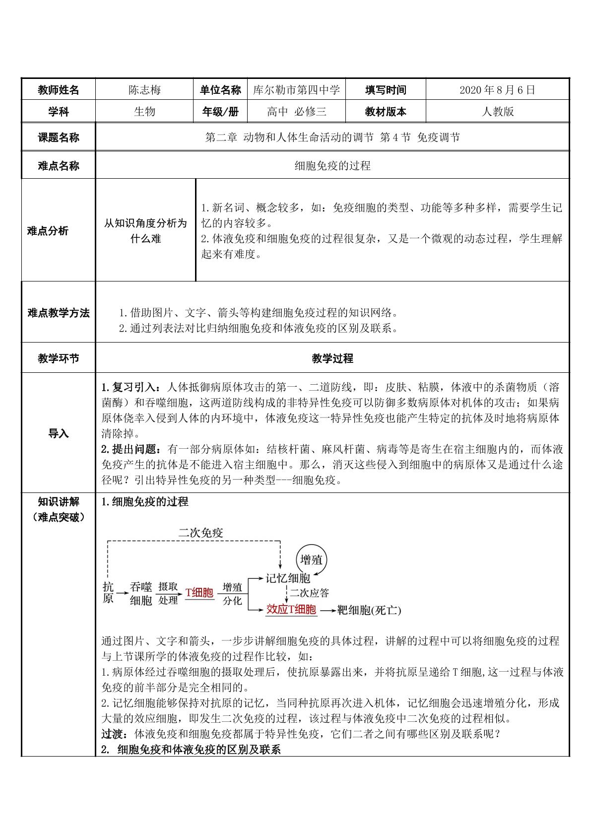 细胞免疫的过程