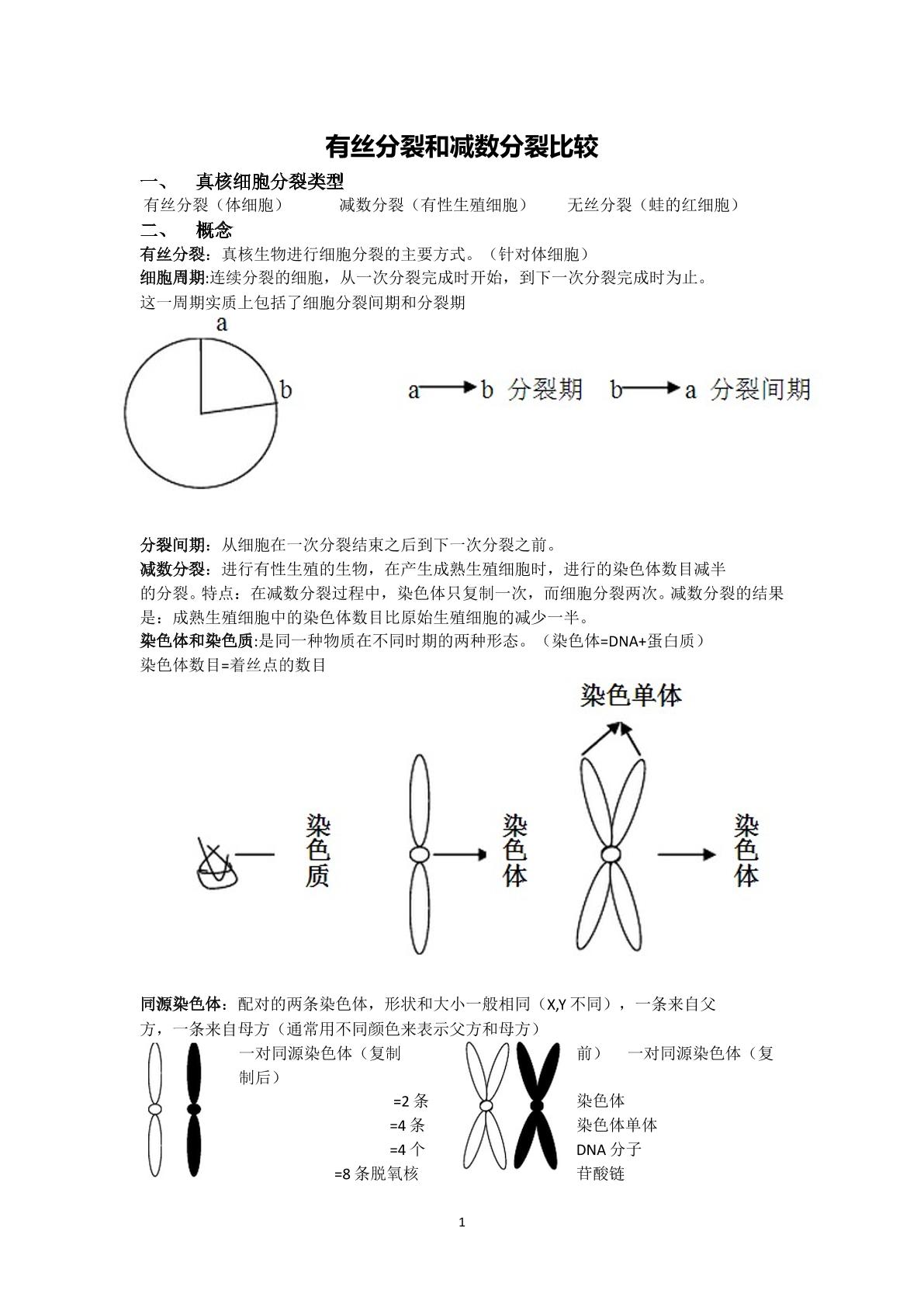 有丝分裂减数分裂比较