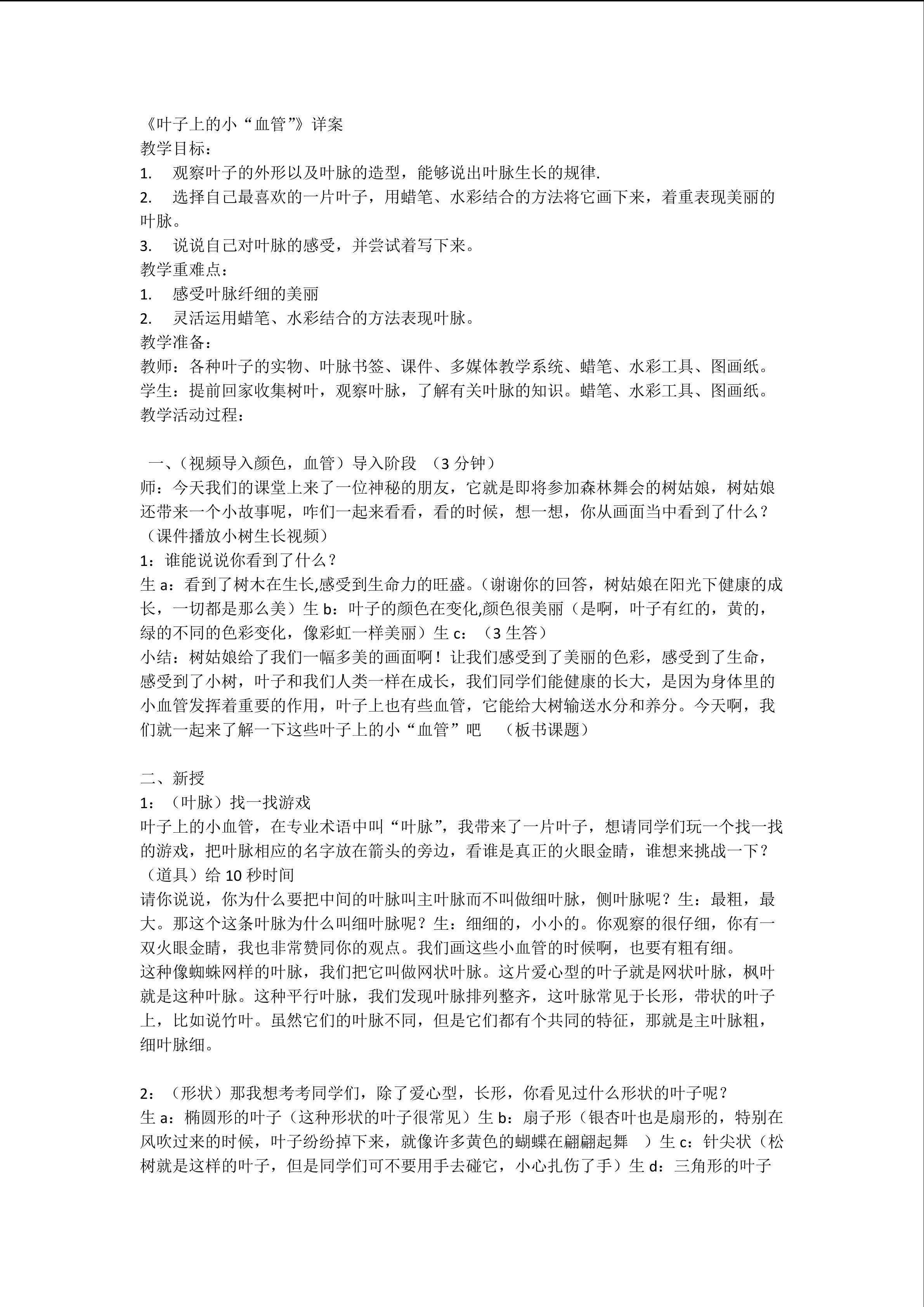 叶子上的小“血管”