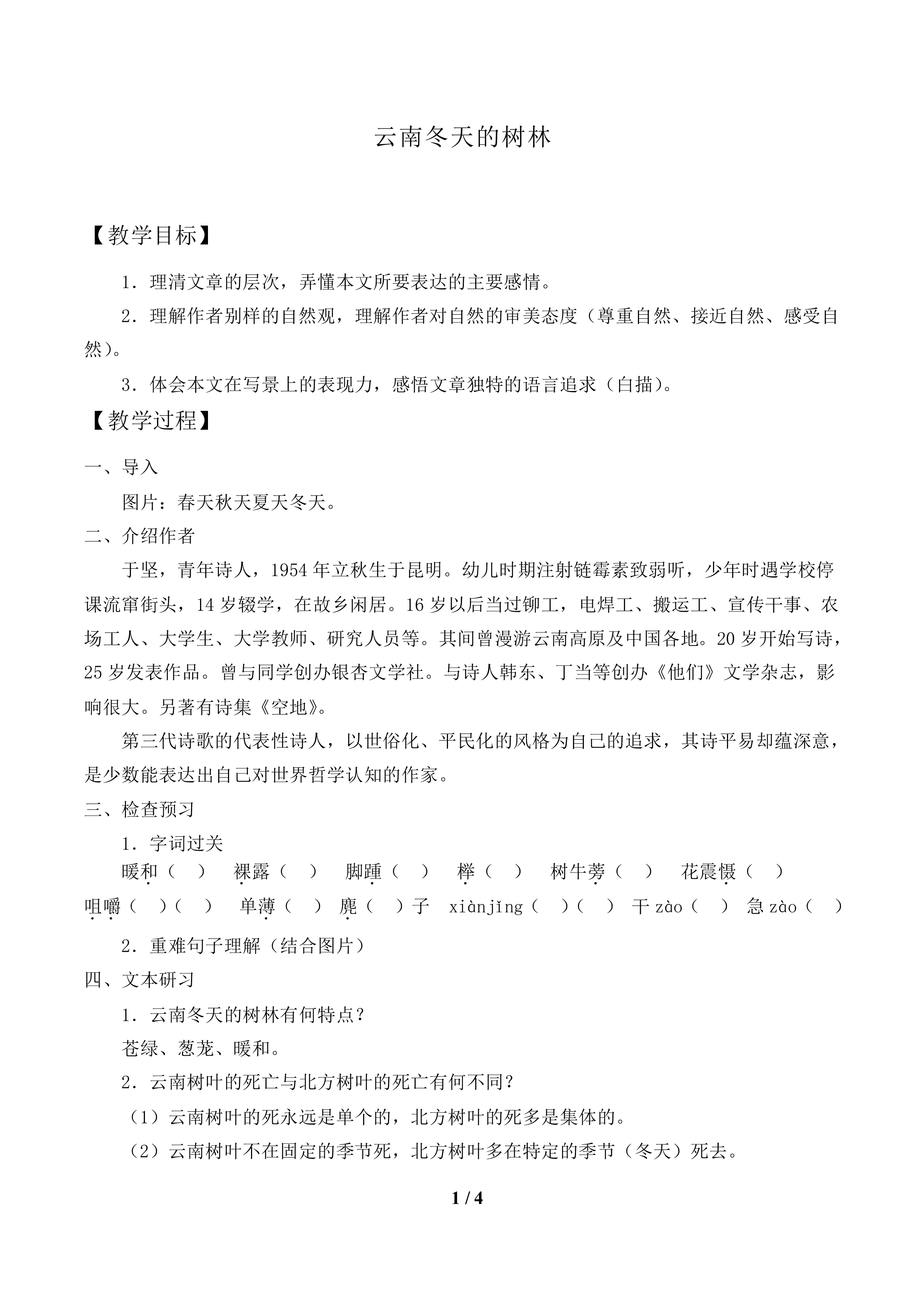 云南冬天的树林_教案1