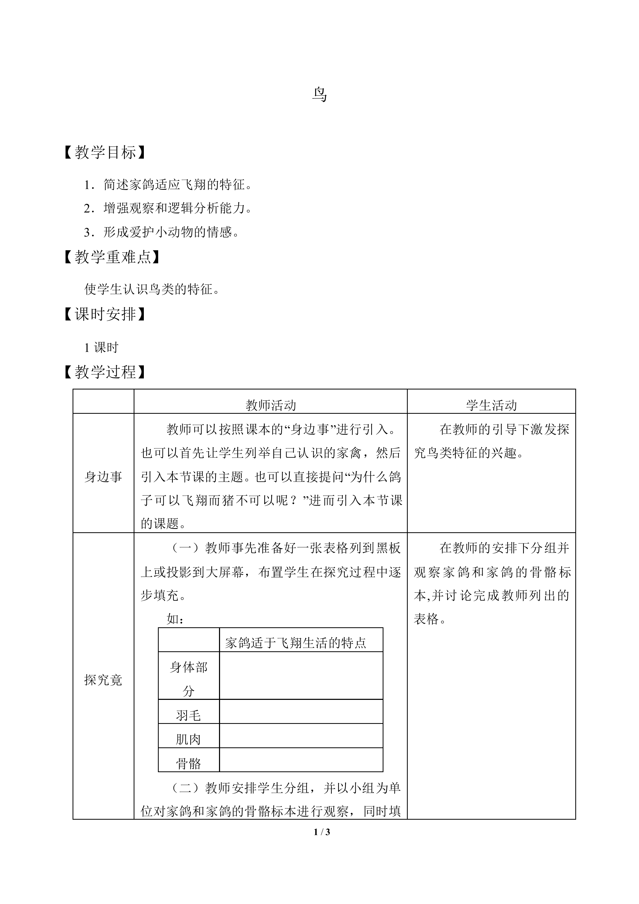 鸟_教案1