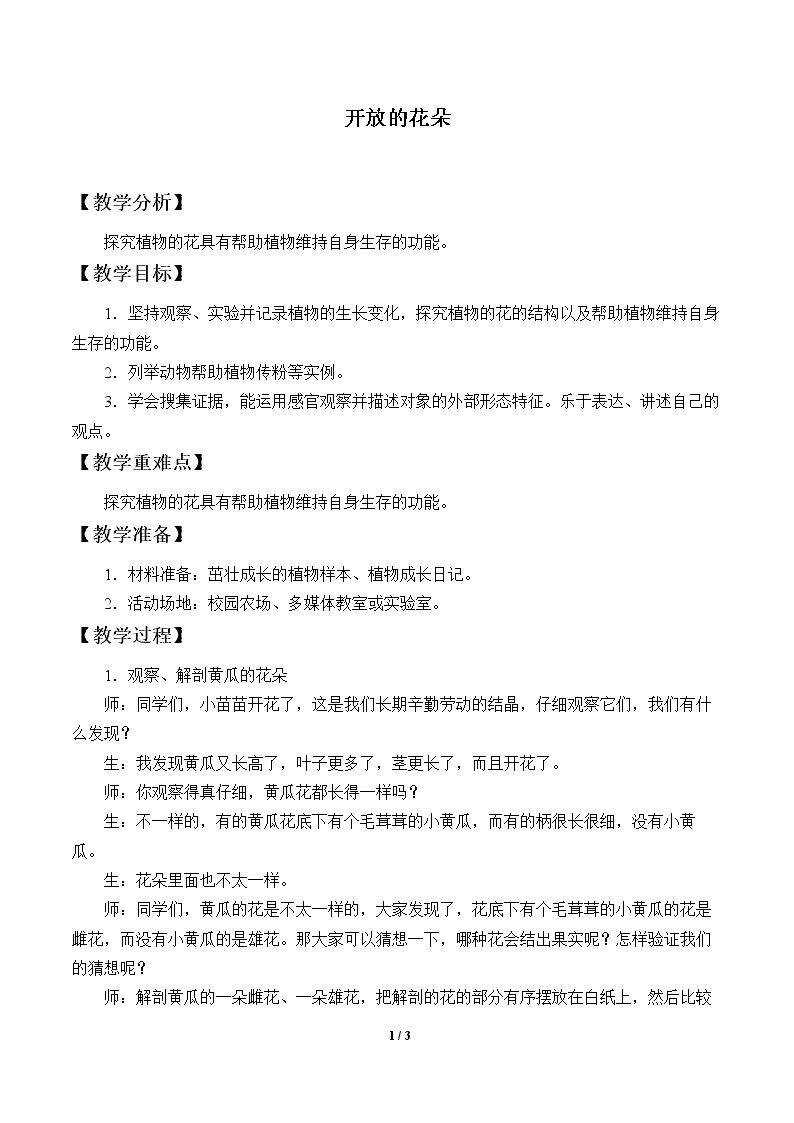 开放的花朵