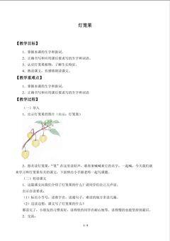 灯笼果_教案1