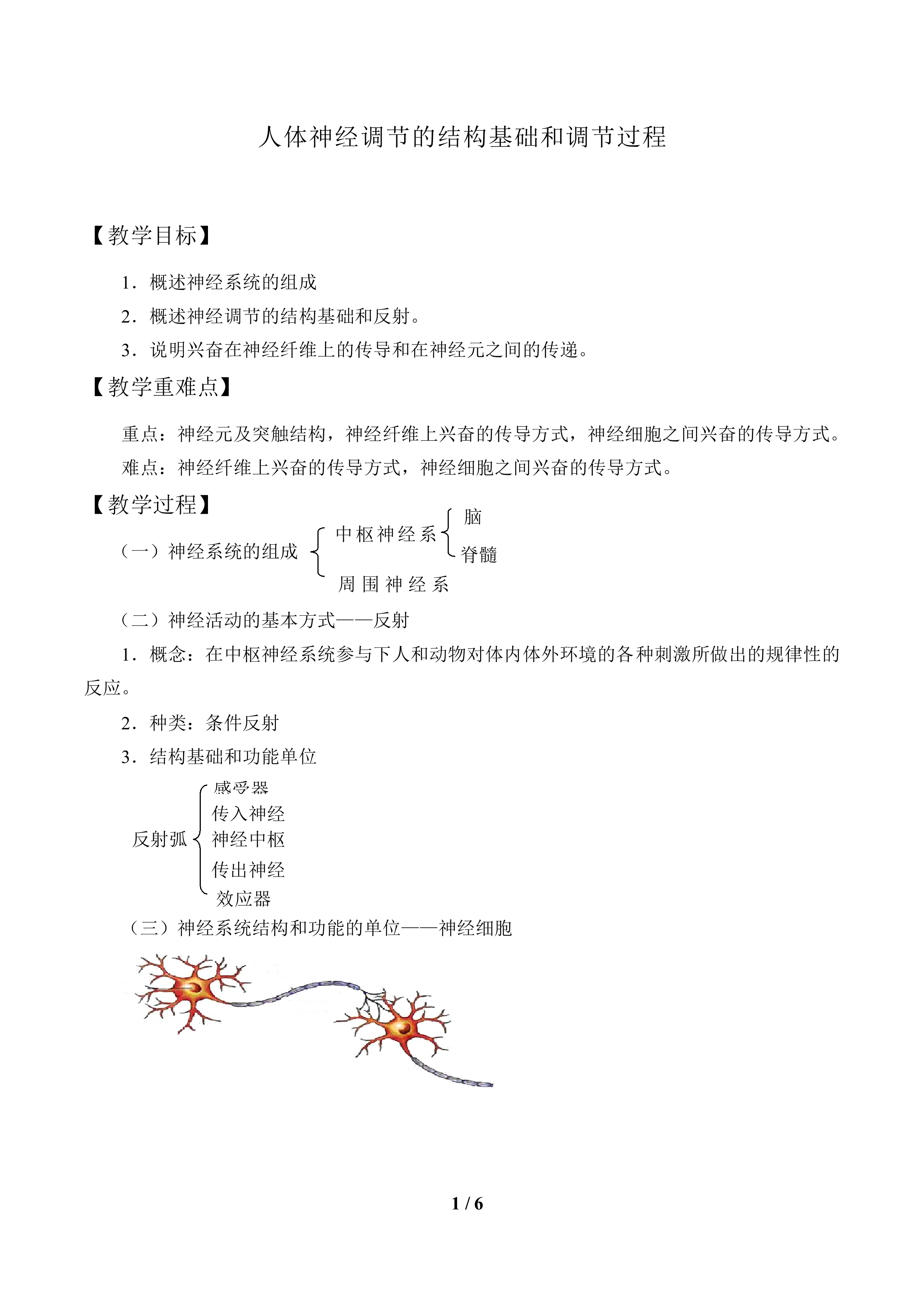 人体神经调节的结构基础和调节过程_教案2