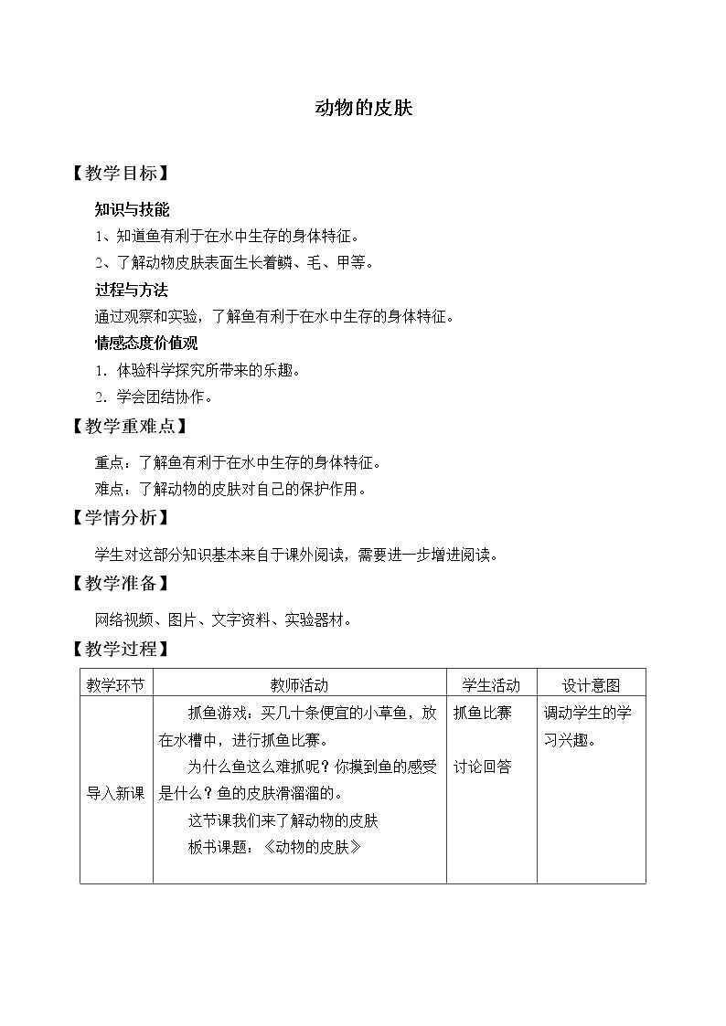 动物的皮肤
