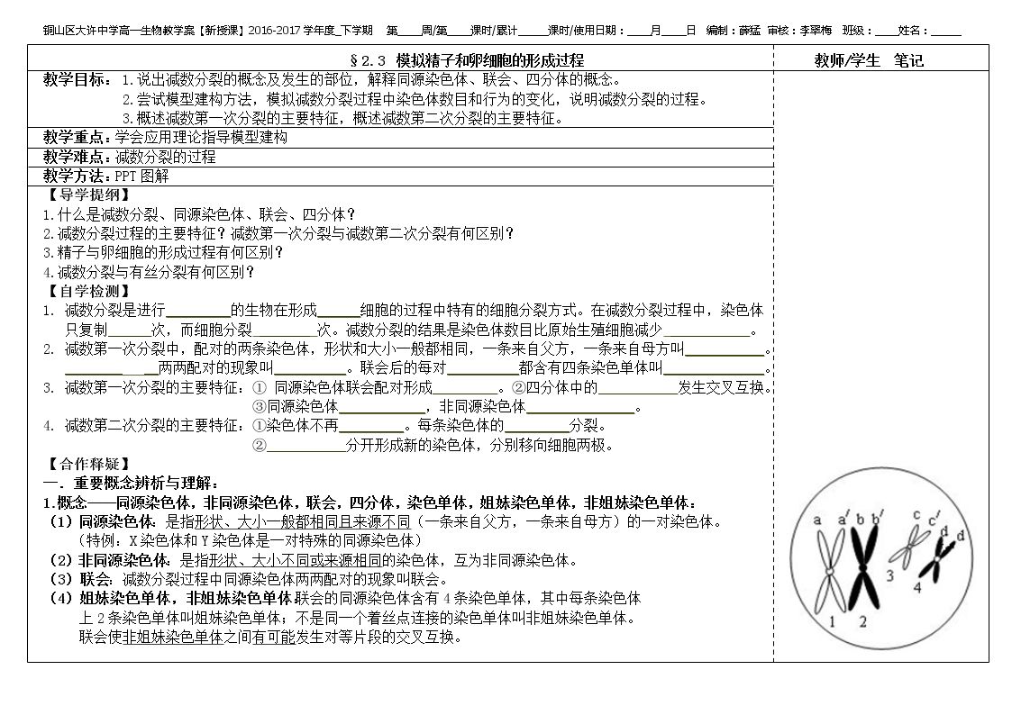 生殖细胞的形成