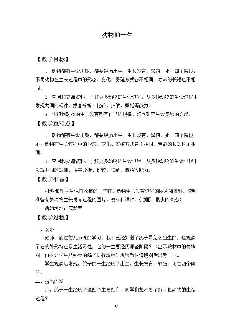 动物的一生