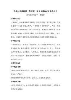 3.观察叶