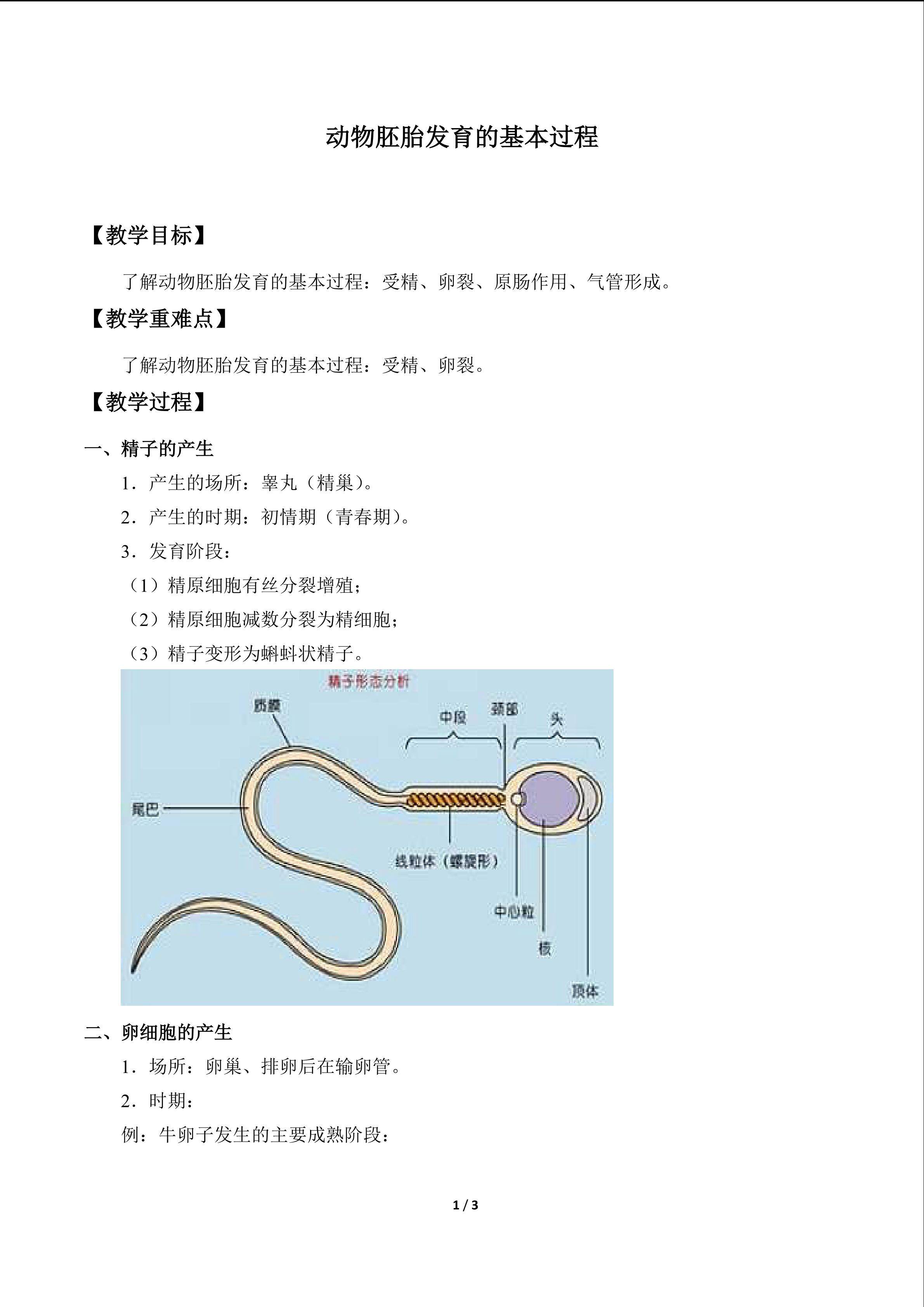 动物胚胎发育的基本过程_教案1