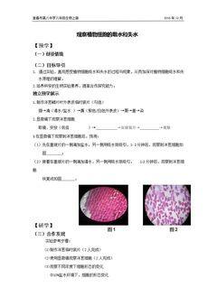 第二节 根对水分的吸收
