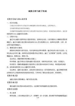 减数分裂与配子形成