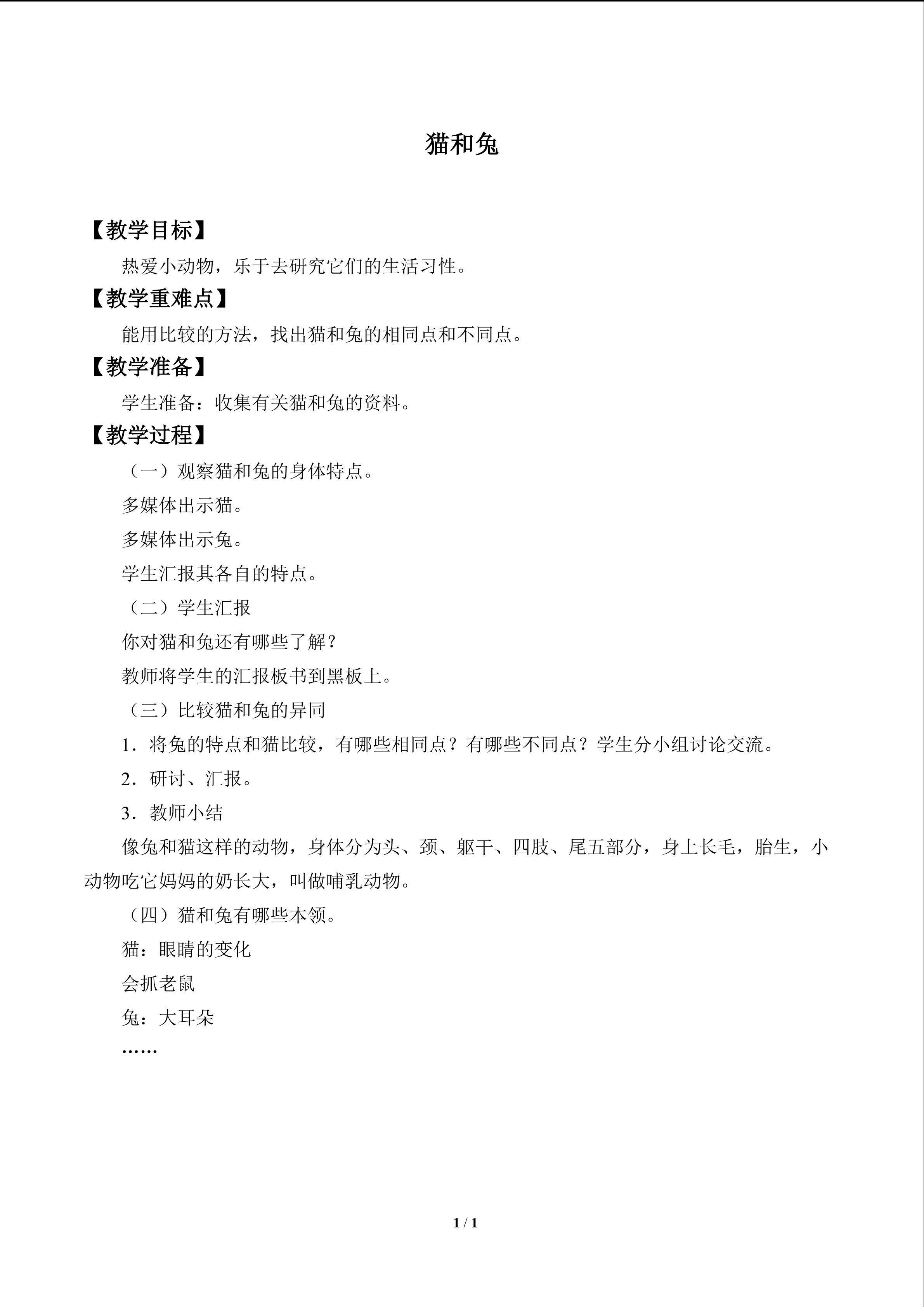 猫和兔_教案1