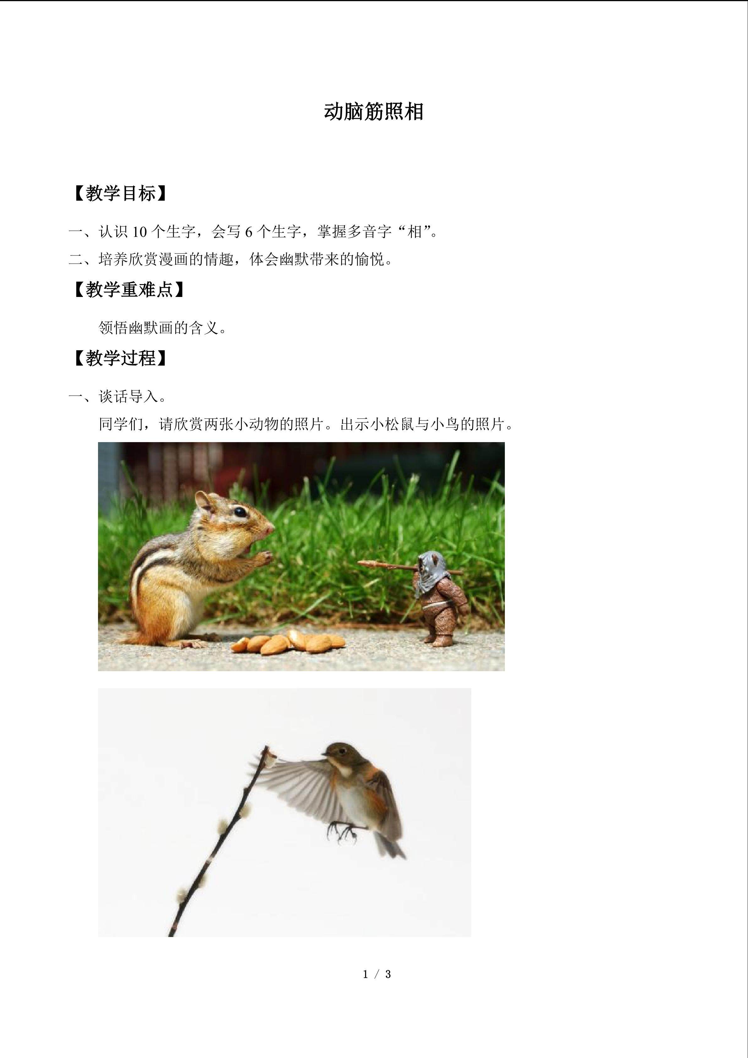 动脑筋照相_教案1