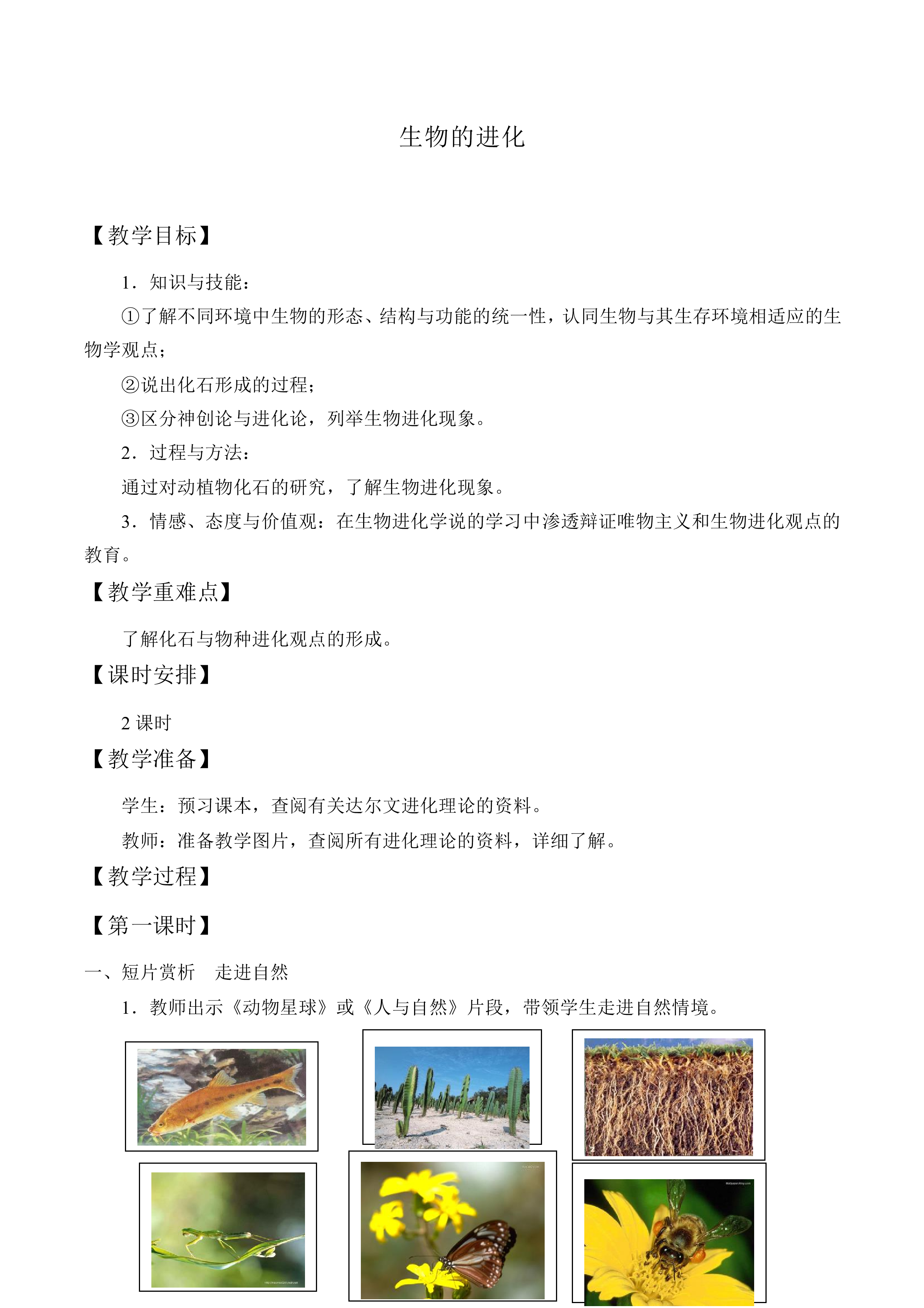 生物的进化  _教案1