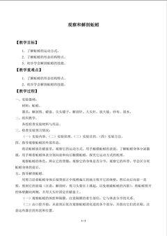 实验与实践 观察和解剖蚯蚓_教案1