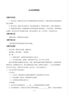 认识法律规则_教案1