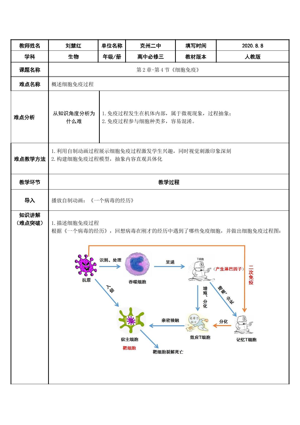 细胞免疫的过程