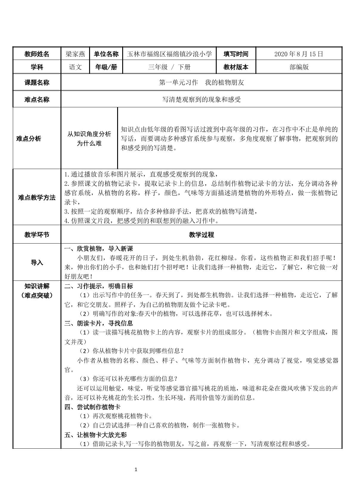 我的植物朋友