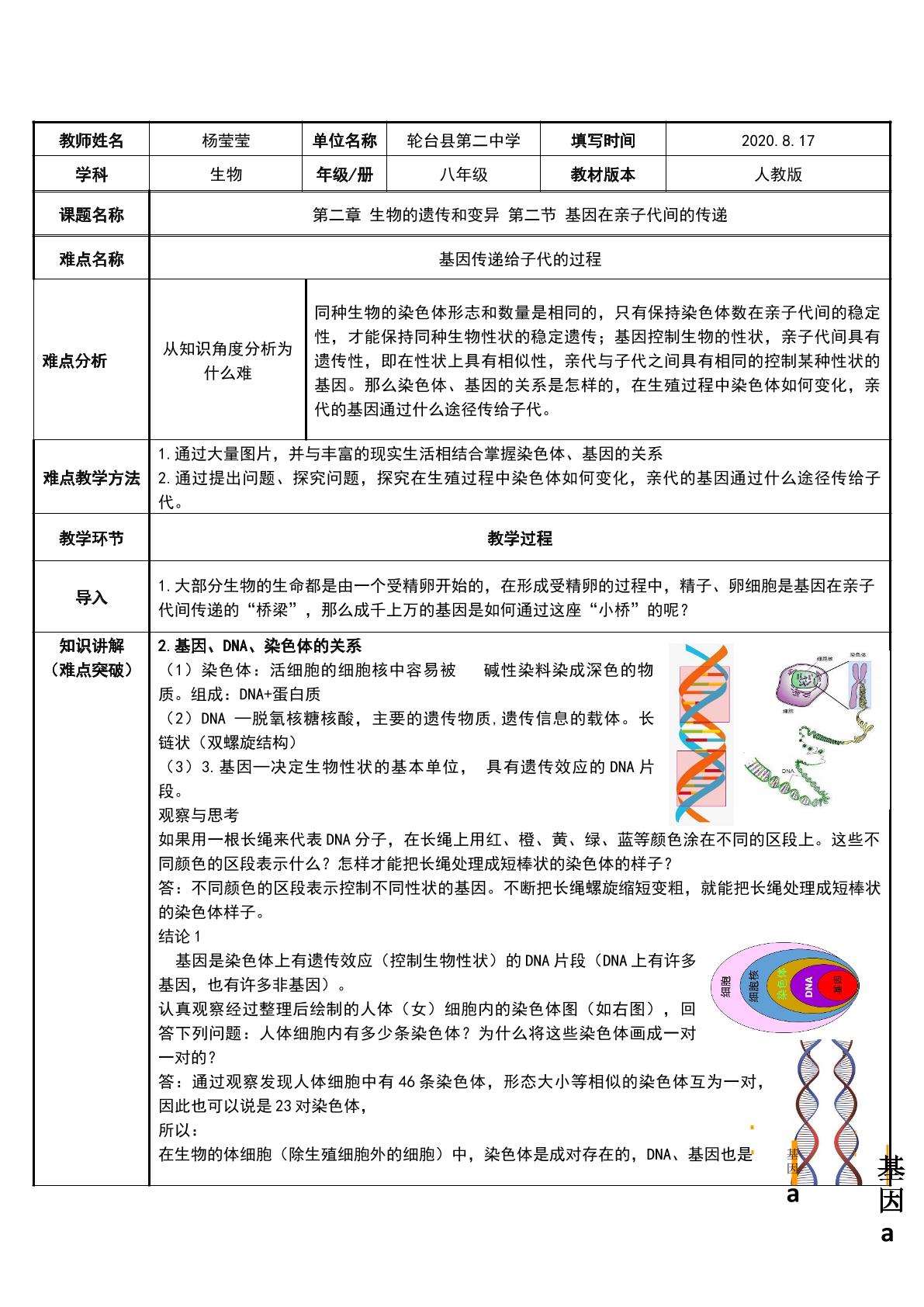 基因在亲子代间的传递