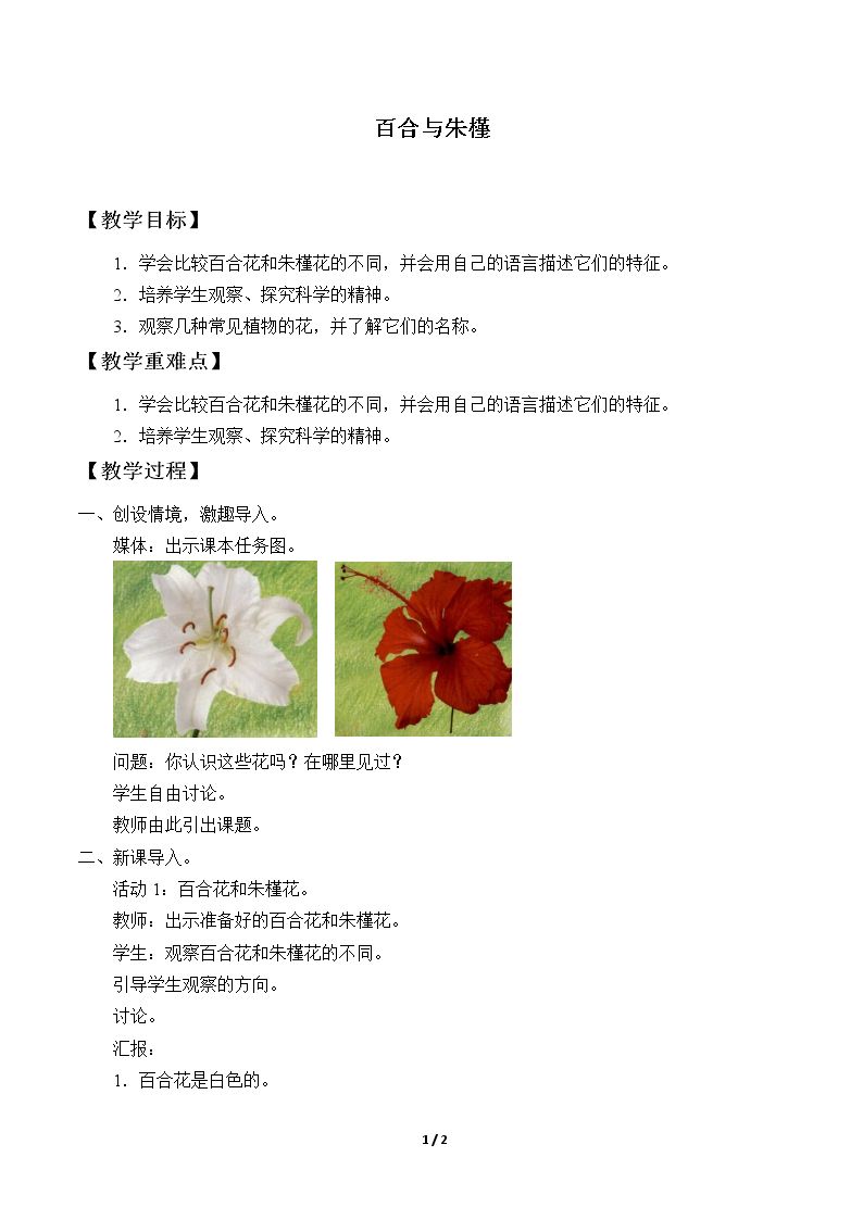 百合与朱槿