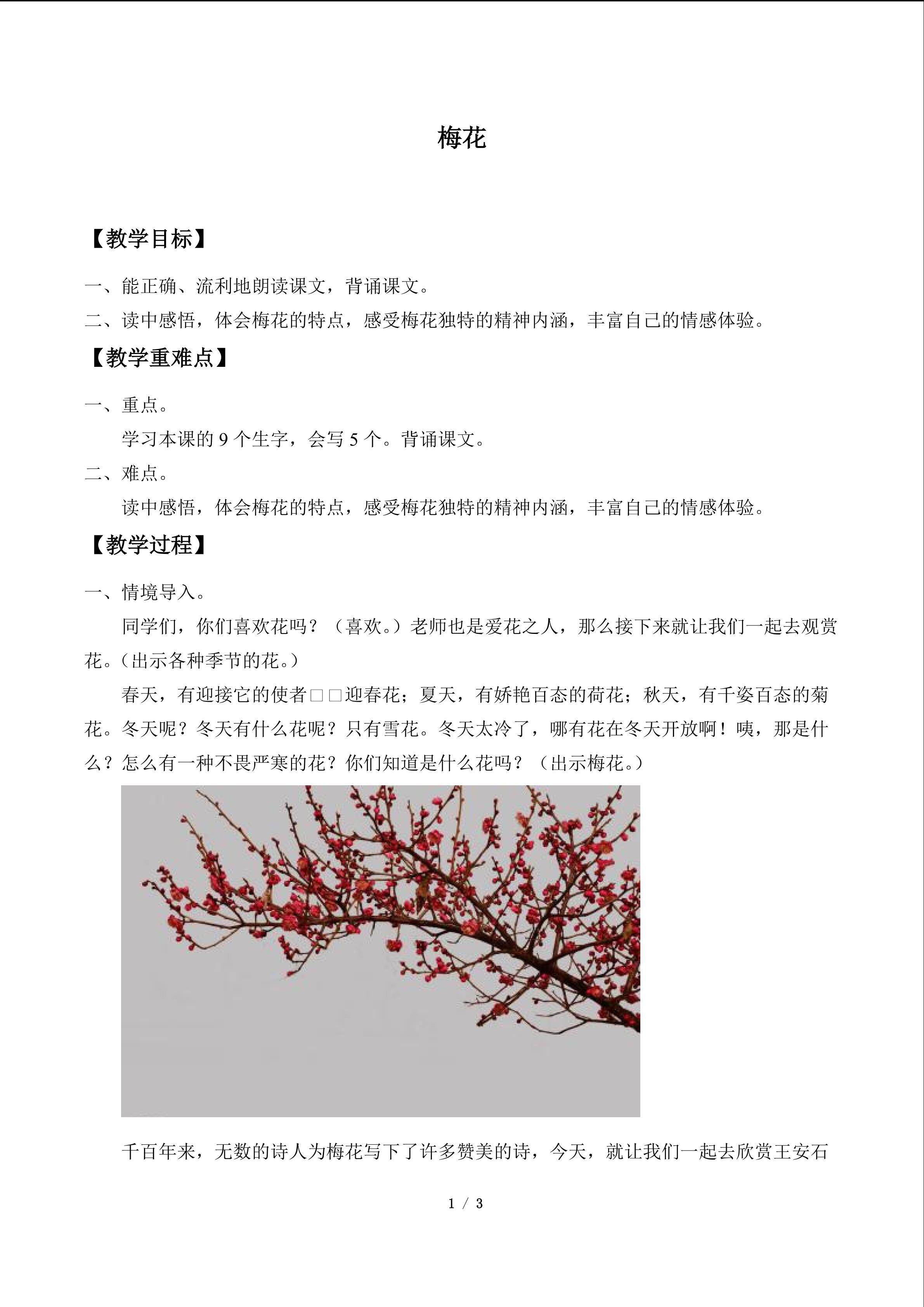 梅花_教案1