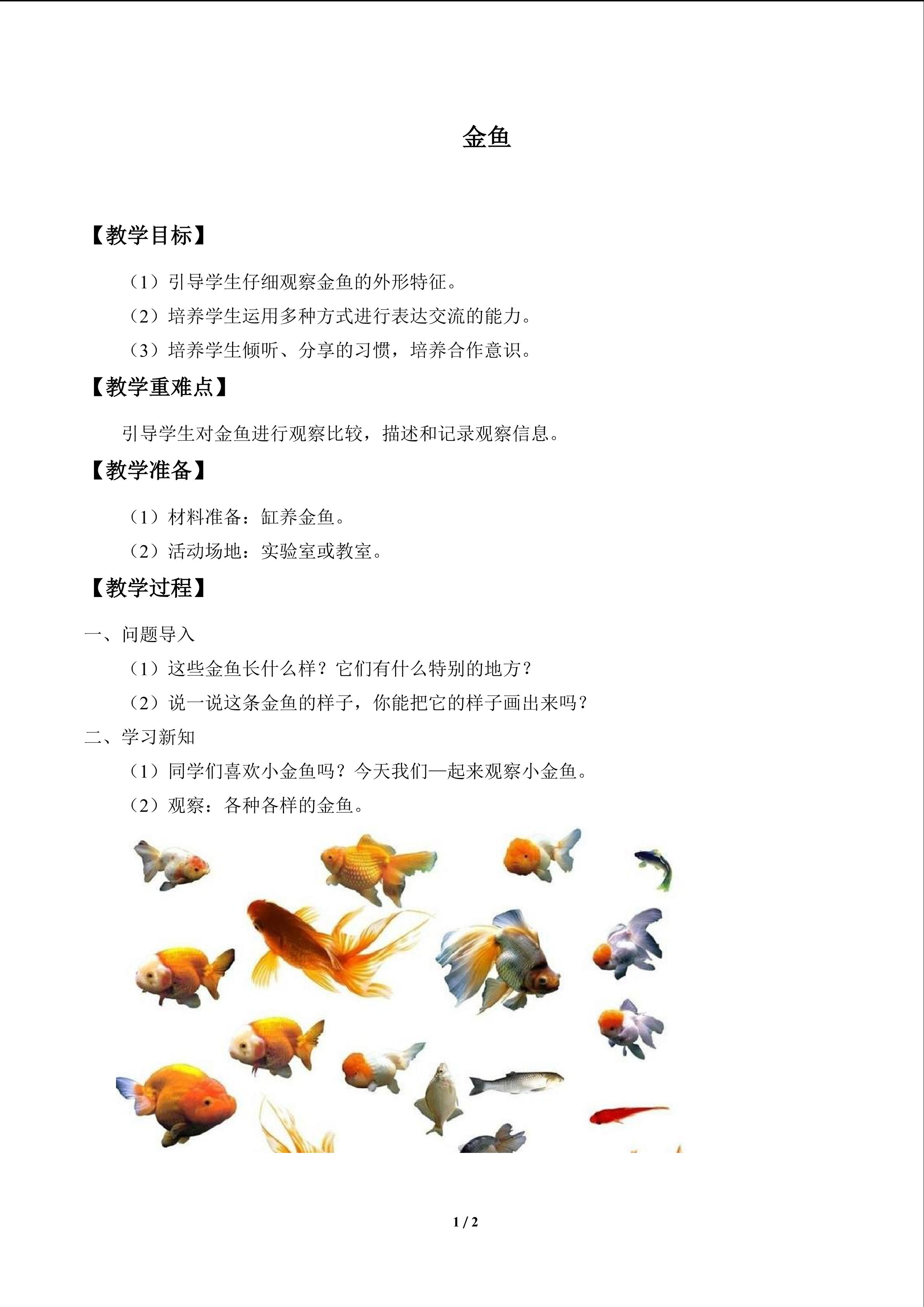 金鱼_教案1