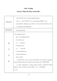 What Do They Look Like?_教案1