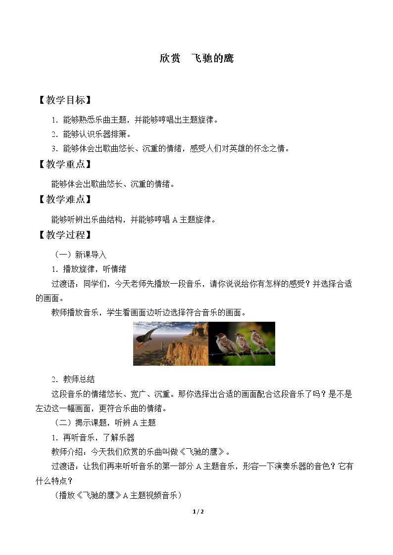欣赏  飞驰的鹰