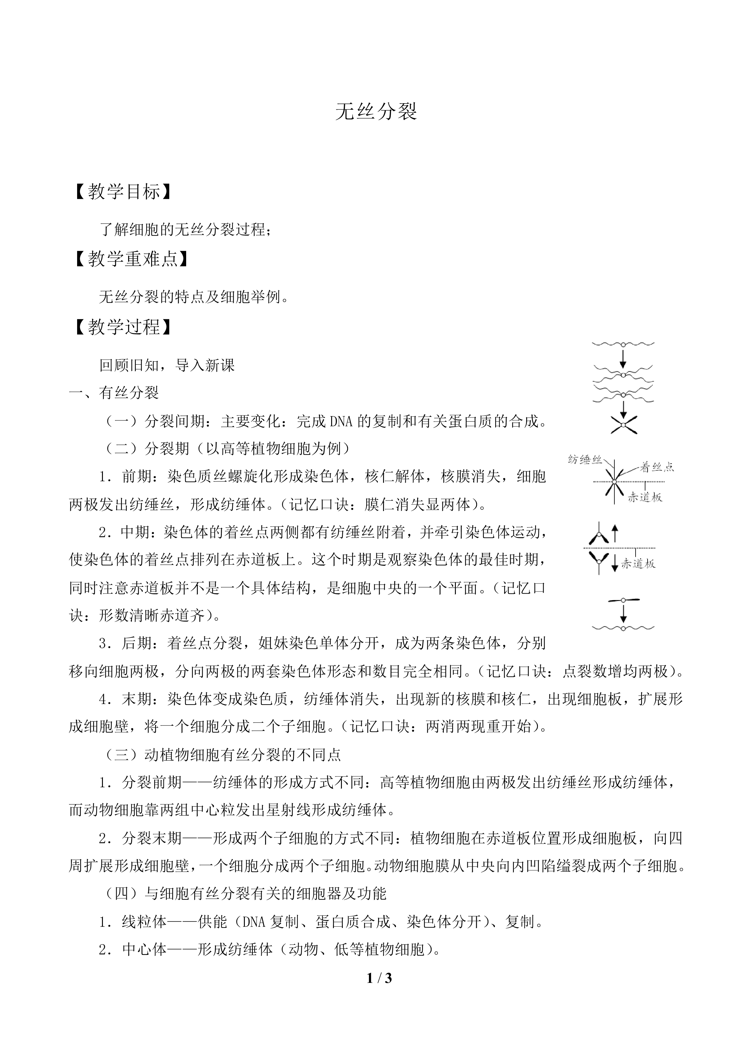 无丝分裂_教案1
