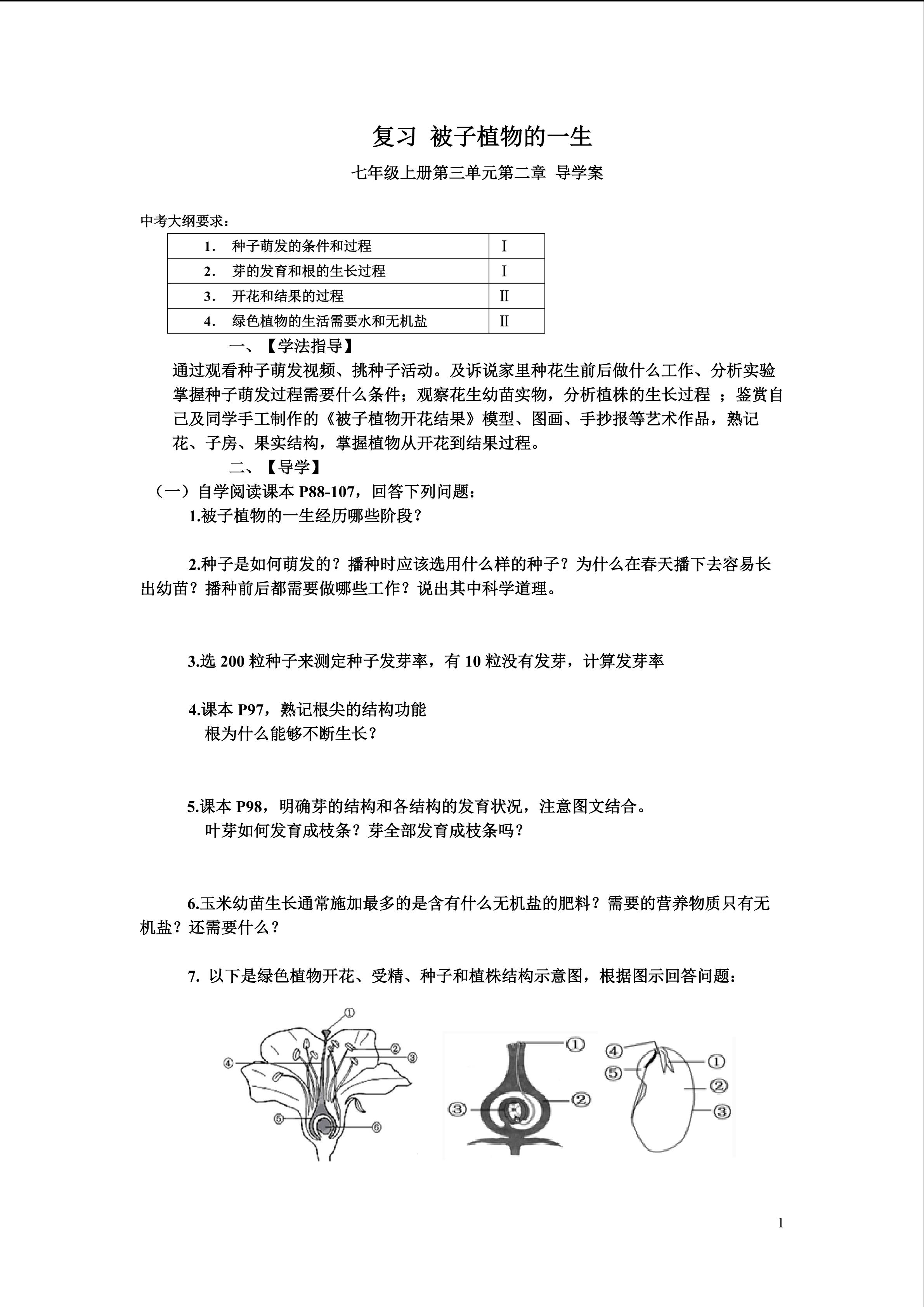 被子植物的一生