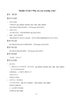 Unit 2 Why are you wearing a hat?_教案1