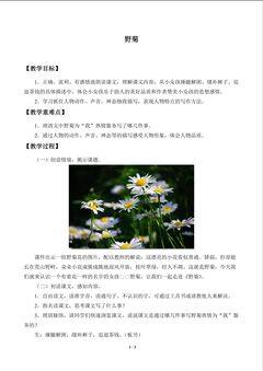 野菊_教案1