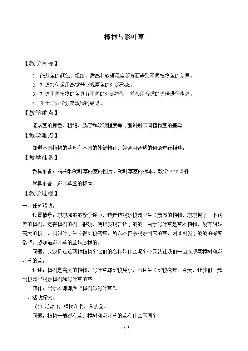 樟树与彩叶草