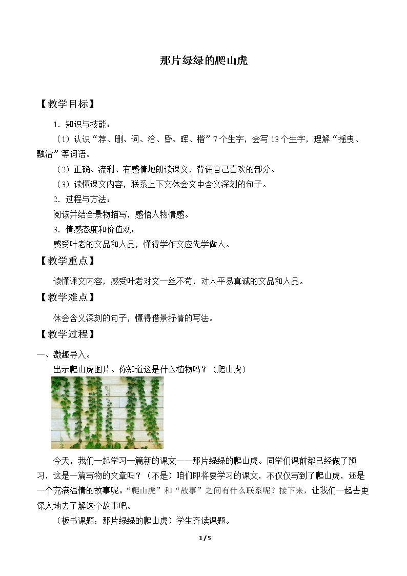 26 那片绿绿的爬山虎