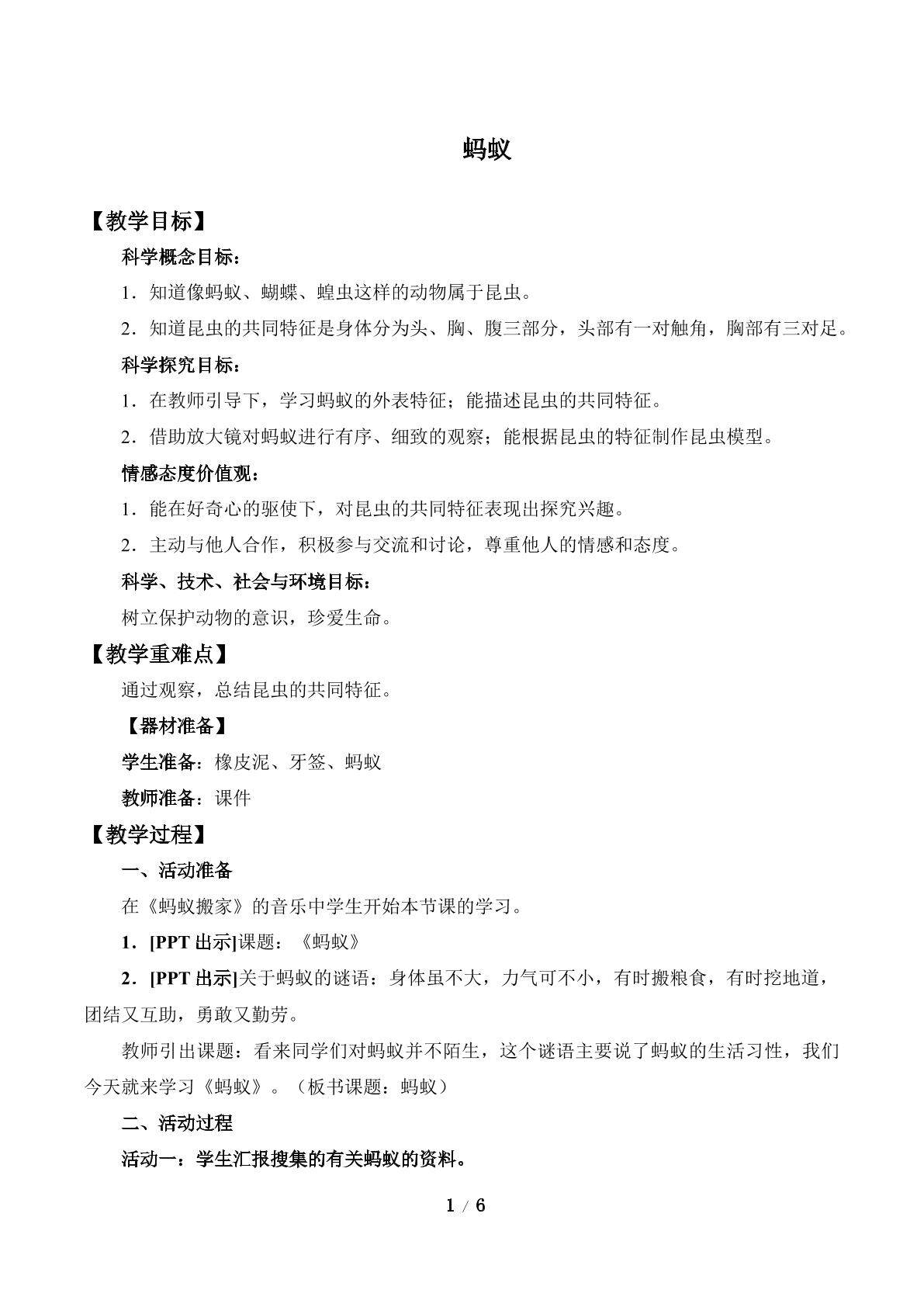蚂 蚁