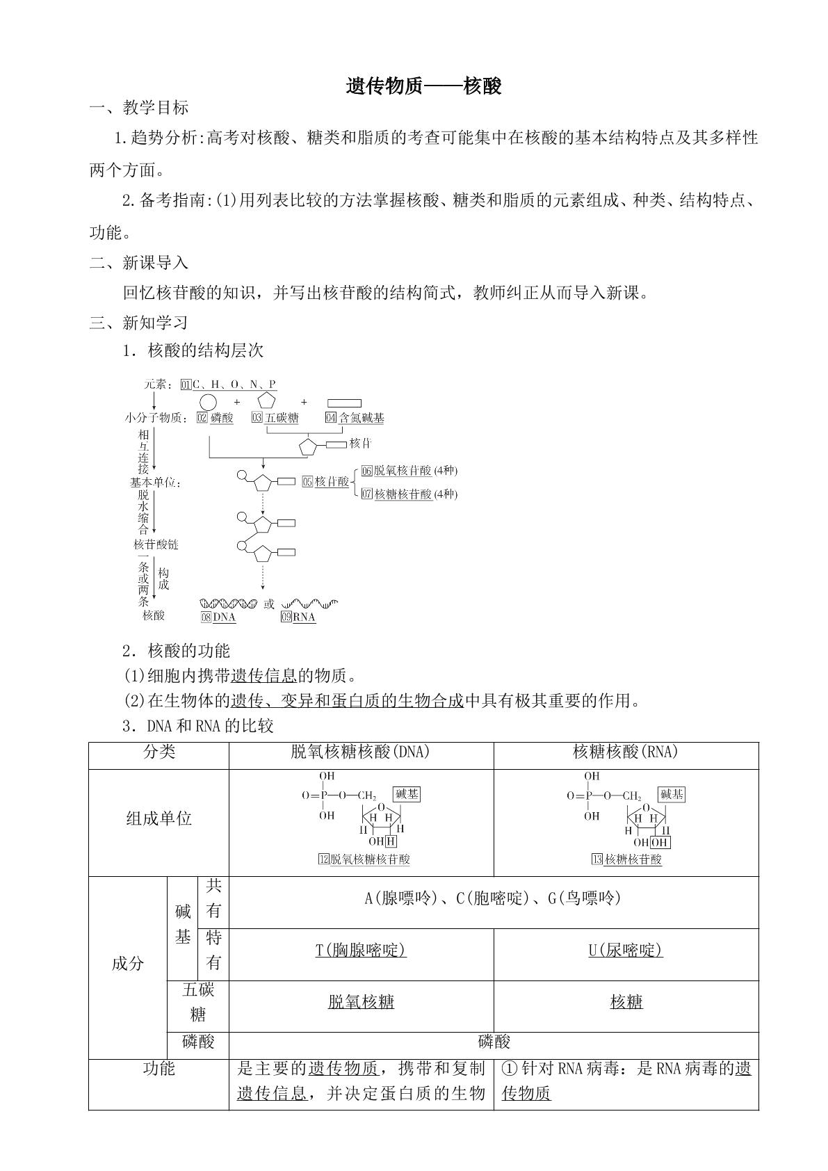 高三复习——核酸