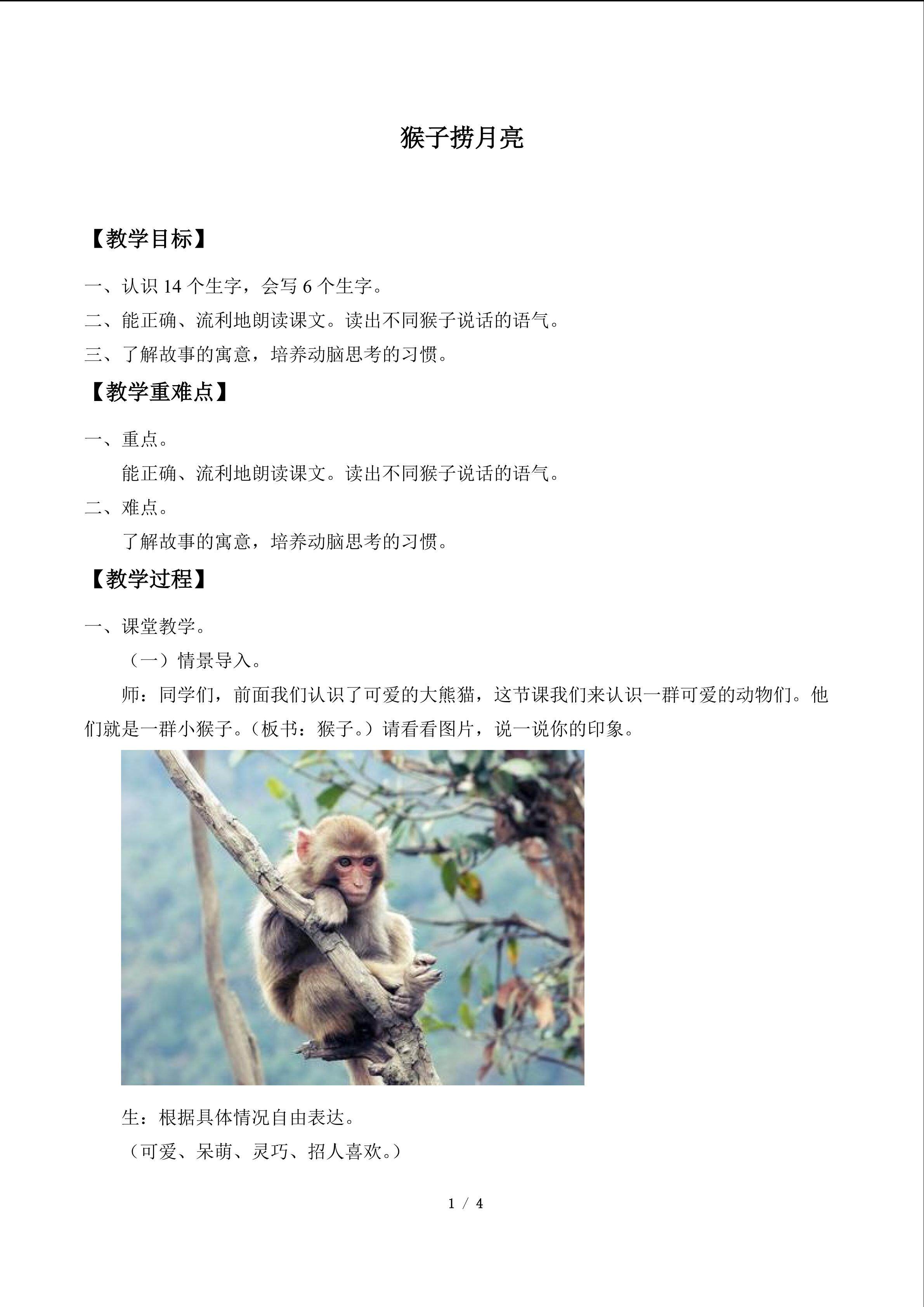 猴子捞月亮_教案1